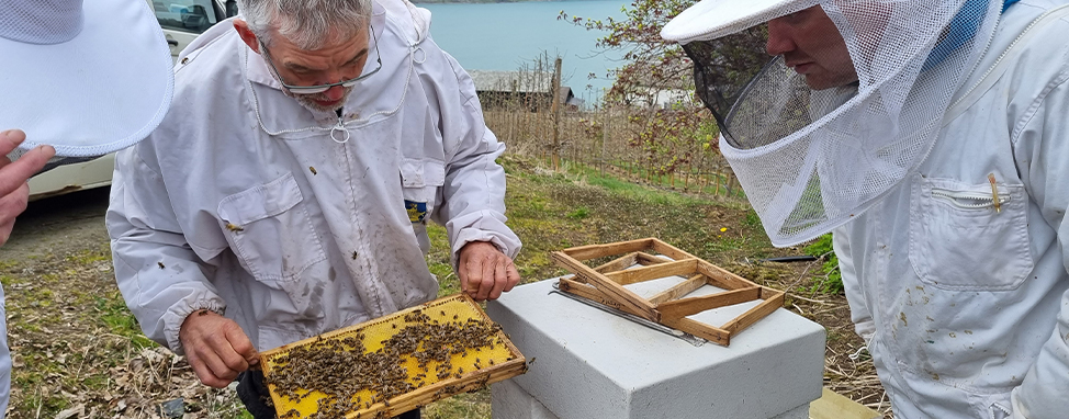 Meet Nordic Honey beekeepers — Nordic Honey